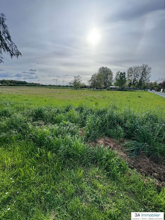 Terrain BELLENGREVILLE (14370) 3A Immobilier